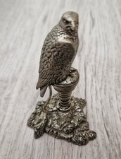Bird Of Prey Falcon On Perch