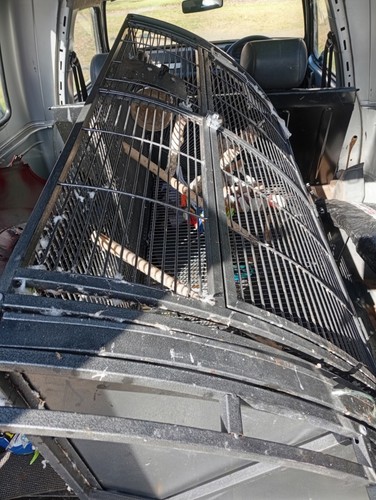 Large corner bird - , cage
