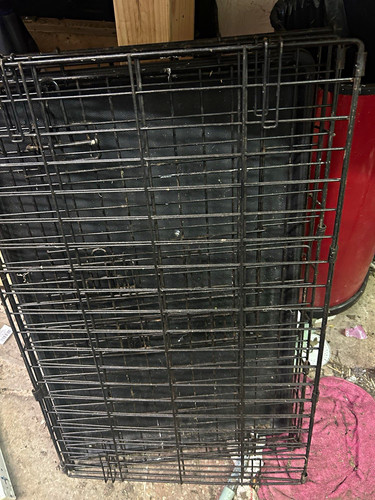 Black folding steel wire - wire, dog