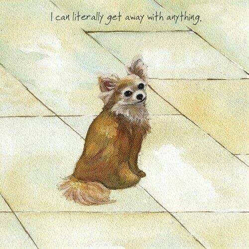 Little dog laughed card - dog,