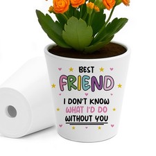 Bestie Gifts for Women Plant