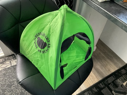 Design bear green camping - design,