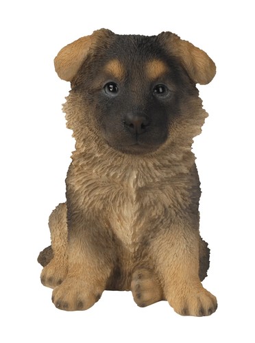 Vivid arts pet - vivid,