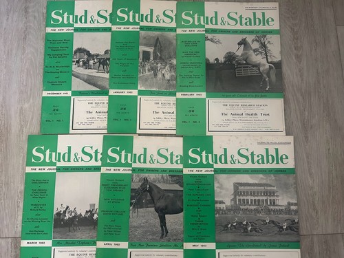 Stud stable magazine - stable,