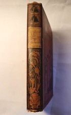 Martin Rattler R M Ballantyne