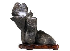 Suiseki Viewing Stone Bonsai