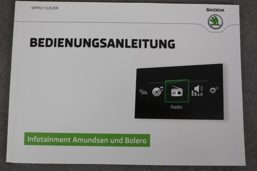 Skoda radio infotainment - skoda,