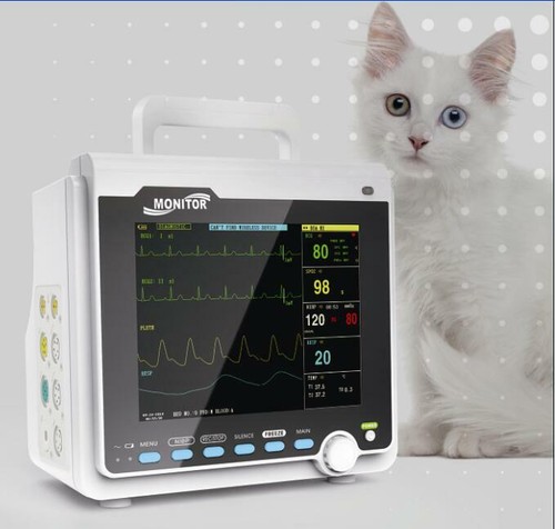 Veterinary vital signs patient - veterinary,