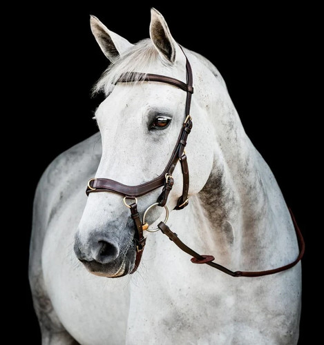 Horseware ireland micklem - horseware, 2