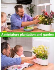 12 Pods Hydroponics Growing