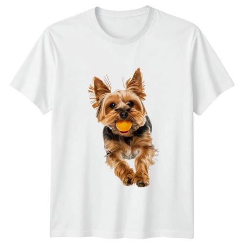 Yorkshire terrier yorkie - terrier, with