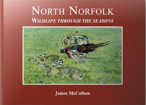 North norfolk wildlife - norfolk:,