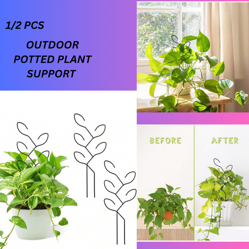 Climbing rack outdoor potted - climbing,