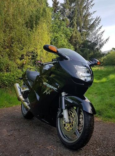 Honda cbr 1100 blackbird - xx,