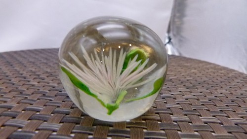 Small green and white - green, spikey