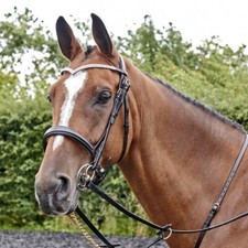 WHITAKER LYNTON SNAFFLE BRIDLE