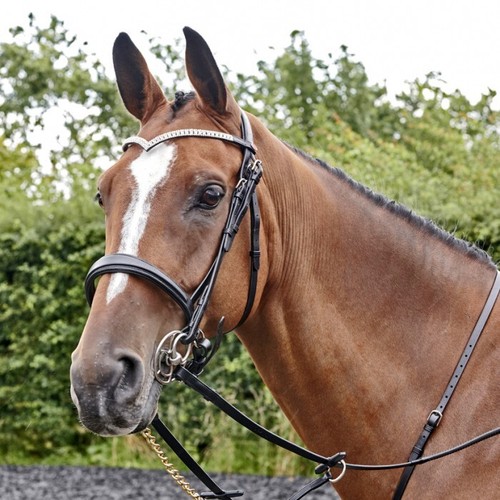 Whitaker lynton snaffle - lynton,