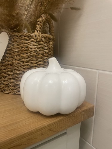 Maxx homesense white - tk,