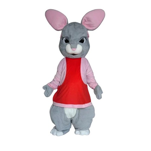 Peter rabbit bunny mascot - bunny,