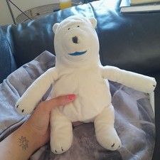 Birds Eye Clarence The Polar