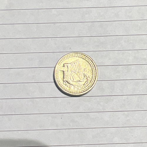 2004 one pound coin - £1,