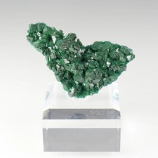 Dioptase - Brazzaville