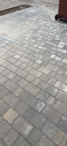 Marshalls tegula priora - priora, block