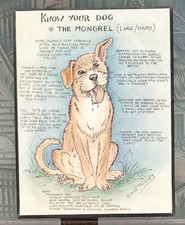 Dick Twinney Art Know Your Dog The Mongrel (Large/Hairy) Picture Vintage