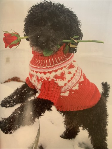 Knitting pattern dog christmas - dog,