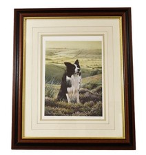 Steven Townsend Signed Limited