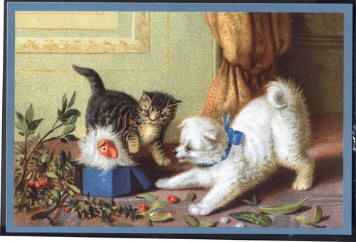 Kitten pup jack in the - kitten,,