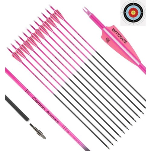 Inch carbon arrows 12pcs - 31,