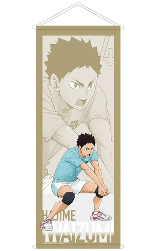 Haikyuu iwaizumi hajime - haikyuu!!,