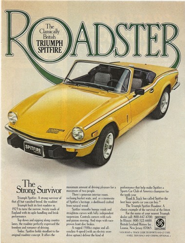 Vintage print triumph - vintage,