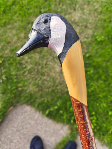 Canadian goose carved - out, of