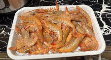 CREVETTE 1 KG TRAY  (Boiled