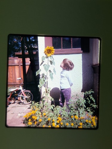 Vintage 35mm photo slides lot - vintage,
