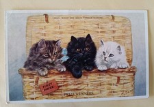 Mabel Gear Cat Postcard