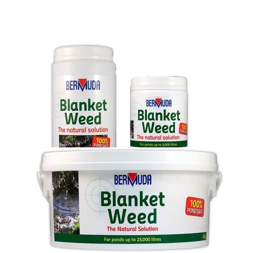 Bermuda blanketweed pond water - blanketweed,
