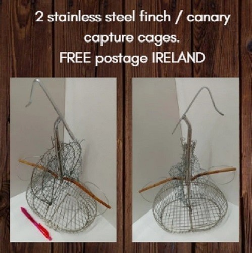 Canary goldfinch live traps