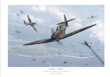 Battle britain ace sailor - of,