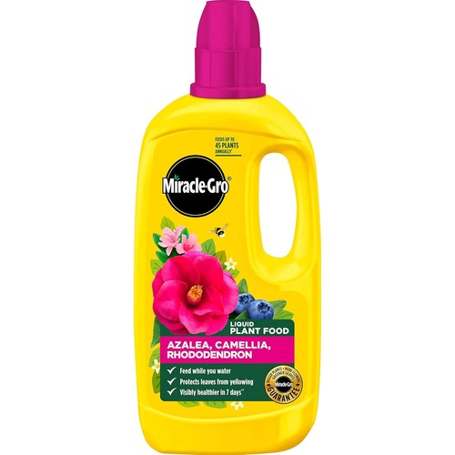 Miracle gro 121180 azelia - miracle-gro,