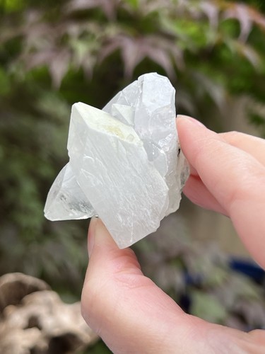 Apophyllite sparkly gemmy - apophyllite,