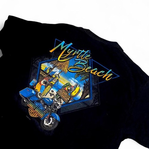 Y2k harley davidson myrtle - harley,