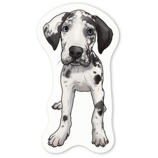 'Harlequin Great Dane Puppy'