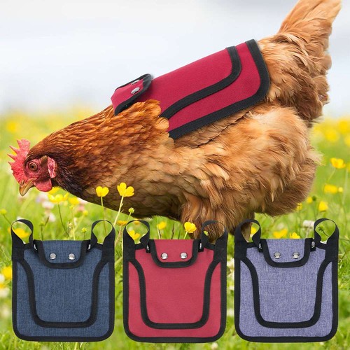 Chicken protection back - back, wing