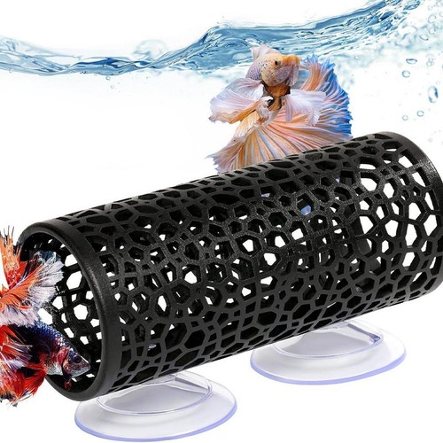 Betta tunnel - tunnel,betta, fish