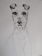 Irish Terrier Dog Pen