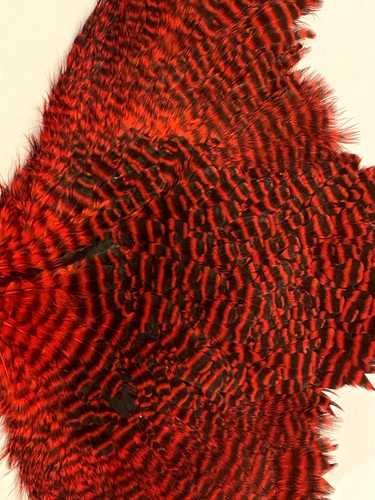 Chevron hackles hen saddle - hackles,