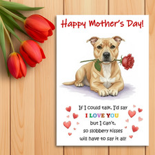 Staffordshire Bull Terrier